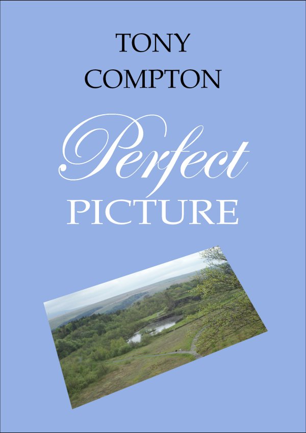 Perfect Picture - cover